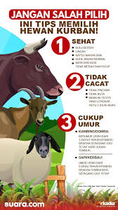 Rasulullah shalallahu alaihi wa salam bersabda itulah materi akikah yang meliputi pengertian akikah, hukum, waktu pelaksanaan, tata cara akikah dan juga hikmahnya secara lengkap. Hewan Kurban Mendadak Cacat Jelang Penyembelihan Simak Hukumnya