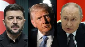 Patrick Hanly: Yoga teacher avoids jail over magic mushroom supply