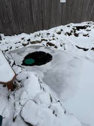 I noticed the top of my biggest fish, that's been out of the water when he  hangs at the top, was looking fuzzy, so I took him out and put him in