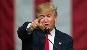 Ready to put all your random facts and bits of knowledge to use? The Ultimate Donald Trump Trivia Proprofs Quiz