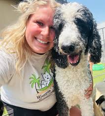 Waggin' Tails Resort...