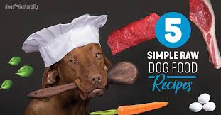 5 simple recipes for raw dog food