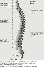 Section Two Neuraxial Anesthesia Nysora Textbook Of
