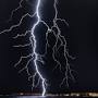 Lightning Strikes Tree from www.pcftree.com