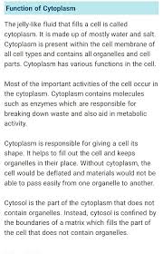 One major function of regulatory agencies is to ensure that consumers and average citizens are protected from things like overpricing, harsh pollutants, and other things that can diminish overall quality of life within a society. Write Down The Function Of Chromoplast In Points Brainly In