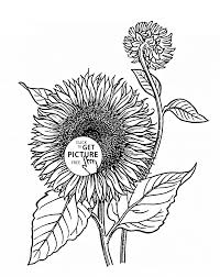 Realistic Sunflowers Coloring Page For Kids Flower Coloring Pages Printables Free Wuppsy Com Sunflower Coloring Pages Animal Coloring Pages Coloring Pages