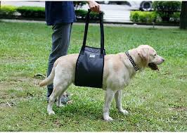 Dog Leg Walking Aid Back Belt Pet Old Dog Hindlegs Injury Protection Dog Walking Aid Carries Upstair Dog Leg Dog Walking Old Dogs