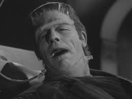Image result for images of the house of frankenstein