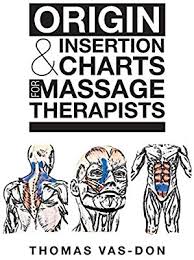 Origin Insertion Charts For Massage Therapists By Thomas