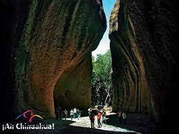 Pin On Tips Chihuahua