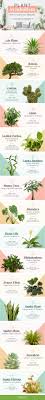 plant symbolism guide 31 plants for every personality