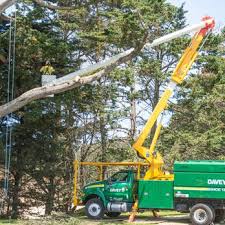 Low cost, same day tree service in new albany, in. The Davey Tree Expert Company 10 Photos Tree Services 1 Runway Ave Latham Ny Phone Number