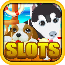 Maybe you would like to learn more about one of these? Amazon Com Pet Rescue Slots Of Fortune Las Vegas Free Casino Slot Machine Games Appstore For Android