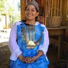 The latest tweets from @elisaloncon Con Todo El Newen Las Mujeres Mapuche Se Candidatean A Constituyentes Radio Jgm