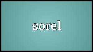 /sɔɹən pitɹ̩ lɔɹɪts sɔɹɪnsən/ derived form of peter Sorel Meaning Youtube