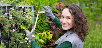 Aktuelle gehälter für garten und landschaftsbau finden sie in unserer einkommensübersicht inklusive passende und interessante jobs in ihrer stadt. Landschaftsgartner Gehalt Einstiegsgehalt Entwicklung Einflussfaktoren Mystipendium