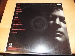 VTG 1981 LINDSEY BUCKINGHAM FLEETWOOD MAC LAW & ORDER LP W/ LYRIC SLEEVE  VG/EXC