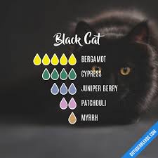 Using essential oils through a diffuser has been one effective way to do so. Black Cat Essential Oil Diffuser Blend Atherische Ole Halloween Essen Duft