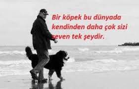 hayvan sevgisi ilgili sozler hayvanlar hayvan hayvan sozleri