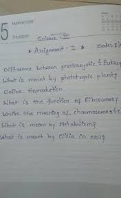 University of california, berkeley museum of paleontology's understanding deep time online resource. Answer Them Test Ur Knowledge Brainly In