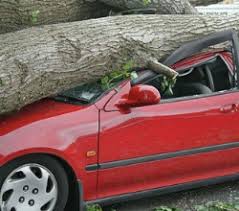 Das wetter in nrw ist heute zunächst sommerlich. Unwetter Schaden Agrarwetter Heute Agrarwetter Heute De