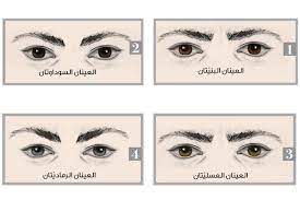 صلاة الاستخارة وَجهٌ من أوجه تحقيق العبودية لله تعالى ، تُعَلِّقُ قلب المسلم بالله عز وجل ، وتخلصه من تَعَلقِه بالمخلوق. Ù…Ø¬Ù„Ø© Ø§Ù„Ø¬Ù…ÙŠÙ„Ø© ØµØ§Ø­Ø¨ Ø§Ù„Ø¹ÙŠÙˆÙ† Ø§Ù„Ø¹Ø³Ù„ÙŠØ© Ø¹Ù†ÙŠØ¯ ÙˆØºÙŠØ± Ù‚Ø§Ø¯Ø± Ø¹Ù„Ù‰ Ø­Ø³Ù… Ø§Ù„Ø£Ù…ÙˆØ± Ù…Ø§ Ø§Ù„Ø°ÙŠ ÙŠÙ‚ÙˆÙ„Ù‡ Ù„ÙˆÙ† Ø¹ÙŠÙˆÙ† Ø´Ø±ÙŠÙƒ Ø­ÙŠØ§ØªÙƒ Ø¹Ù† Ø´Ø®ØµÙŠØªÙ‡