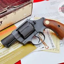 Image result for Rhone Blue 1983 Colt