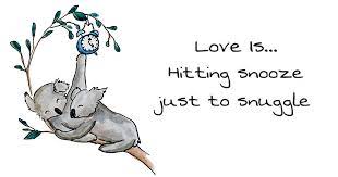 See more ideas about cute drawings, cute animal drawings, animal drawings. I Drew Animal Illustrations That Display The Little Ways We Show Love Bored Panda