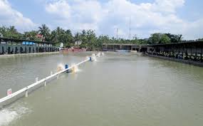 Telaga Jati Galatama Mas Patin Terbesar Di Jambi Tiket Rp 100 Ribu S D Rp 200 Ribu Kabar Mancing