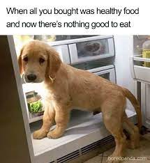 Pin On Humor