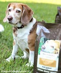 One Eyed Jack Has His Own Dog Food From Purina Just Right Purina Dog Food Recipes Dog Infographic