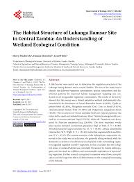 Image result for Craterosiphon quarrei