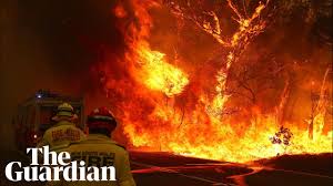 Breaking stories & news headlines from adelaide and the rest of the state at yahoo news australia. Sa Hard Hit As Australian Fires Burn Into The Night As It Happened Australia News The Guardian