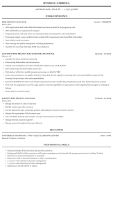 Risk Project Manager Resume Sample Mintresume