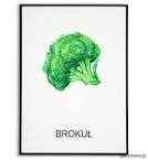 Plakat GRAFIKA BROKUŁ warzywa obraz ZIOŁA - Pakamera.pl