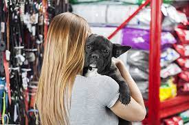 Maybe you would like to learn more about one of these? The 10 Best Pet Stores In Michigan