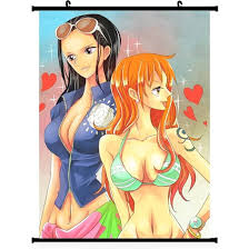 One Piece Anime Wall Scroll Poster Nami Nico Robin(24*32)support  Customized : Amazon.ca: Home