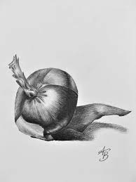 Sketches For The Day Onion Onion Drawing Sketches Pencil Art Drawings