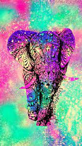 Elephant Wallpaper Elephant Wallpaper Elephant Background Colorful Elephant