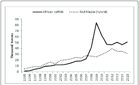 These data are used for. Aquaculture Production Of African Catfish And Red Tilapia Hybrid In Download Scientific Diagram