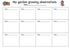 plant growing observation sheet plants 2nd grade