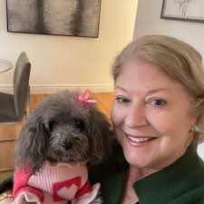 Who cleans 10 lb poodle teeth in Apopka?