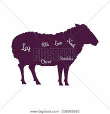 Check spelling or type a new query. Mutton Meat Sheep Vector Photo Free Trial Bigstock