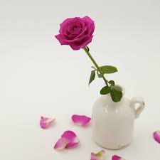 Birthday, love and romance, sympathy, get well, congratulations All Occasion Florist Home Facebook