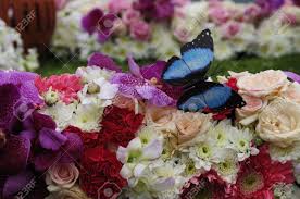 See more ideas about flowers, beautiful flowers, pretty flowers. Artificial Butterfly And Real Flowers Stock Photo Picture And Royalty Free Image Image 21062263