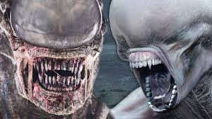 5 out of 5 stars (42) 42 reviews $ 88.54 free shipping only 1. Alien Covenant Deleted Scene Xenomorph Vs Neomorph Explained Youtube