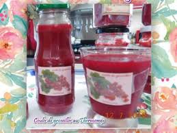 Recettes De Groseilles Et Thermomix