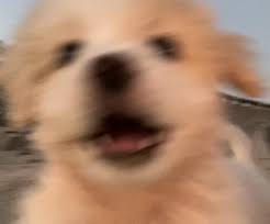 주말 개신나⚡️