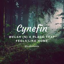 Cynefin Welsh Words Words In Different Languages Weird Words