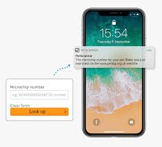 The results are returned with the most recent entry displaying. Phone Showing Petscanner Microchip Lookup Notification Iphone Hd Png Download Kindpng